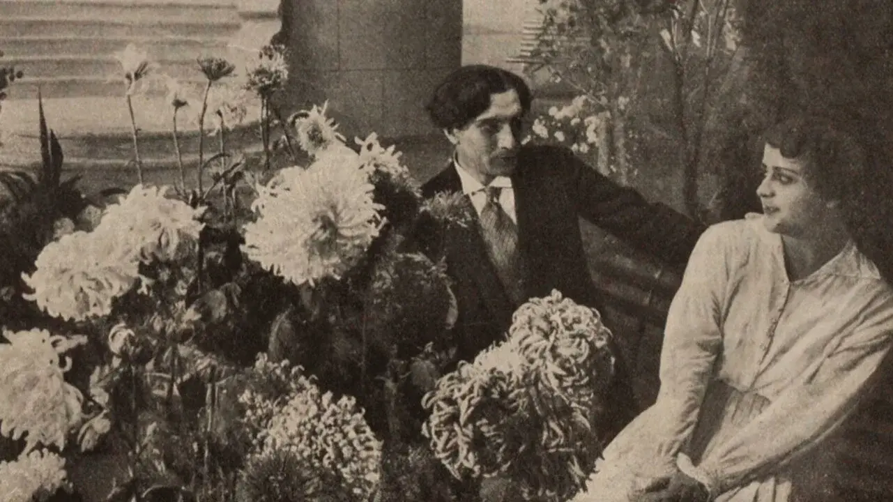 Long Gone are Chrysanthemums in a Garden