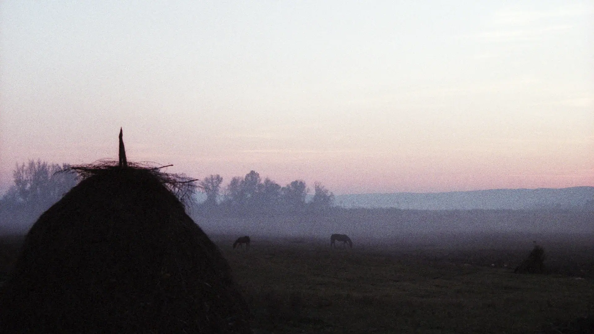 A Short Story of Absence and Return