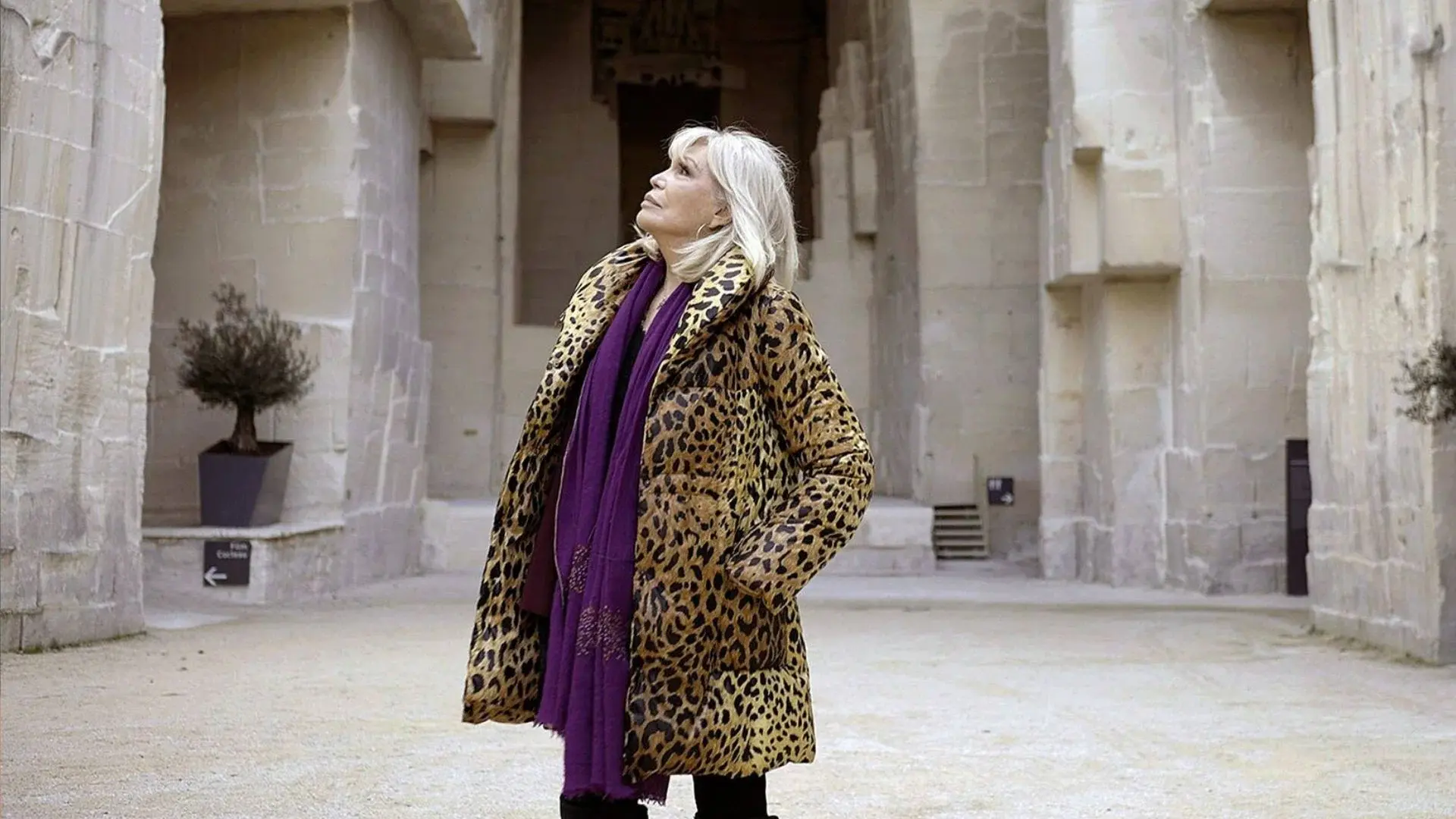 Queen Lear – Die Leben der Amanda Lear
