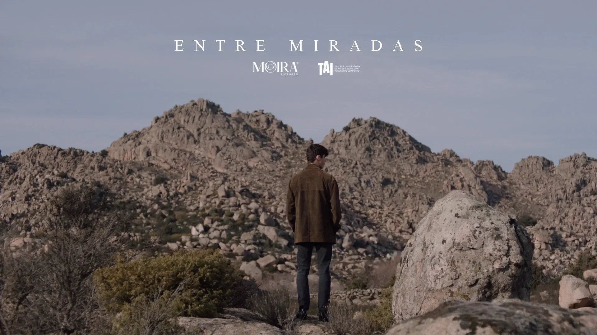 Entre miradas