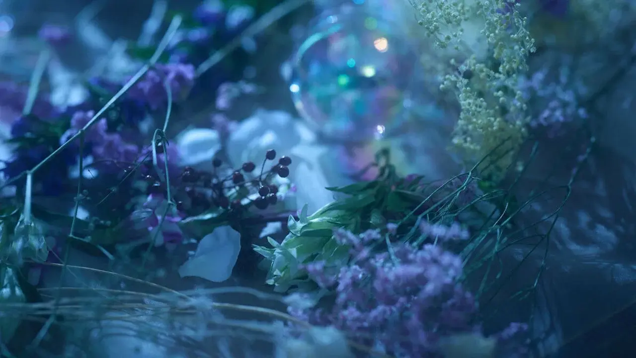 Touken Ranbu: The Musical - Higekiri Solo Performance ～Fleeting Dreams～