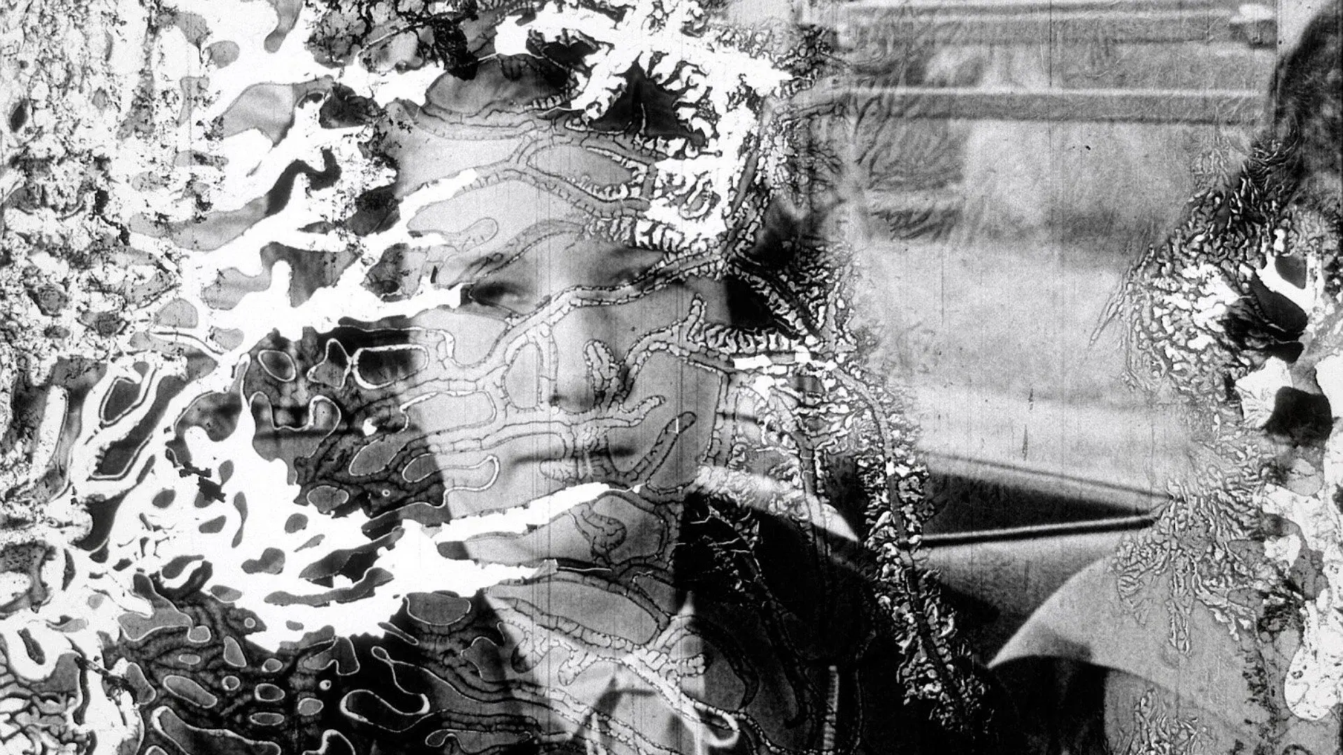 Decasia: The State of Decay