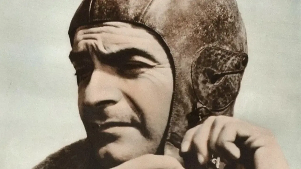 Rondini in volo
