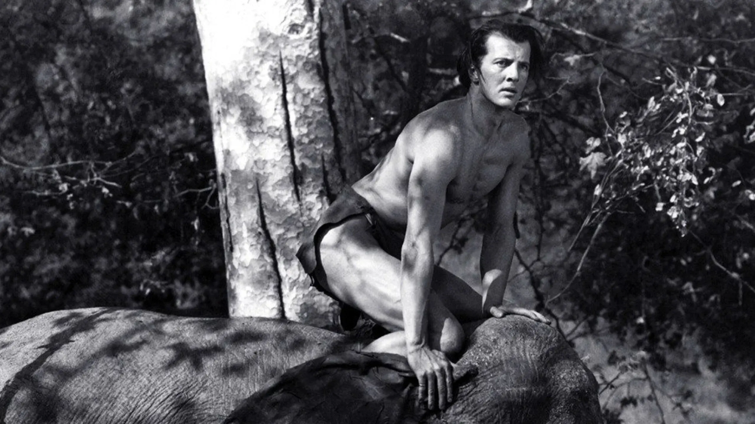 Tarzan and the Green Goddess