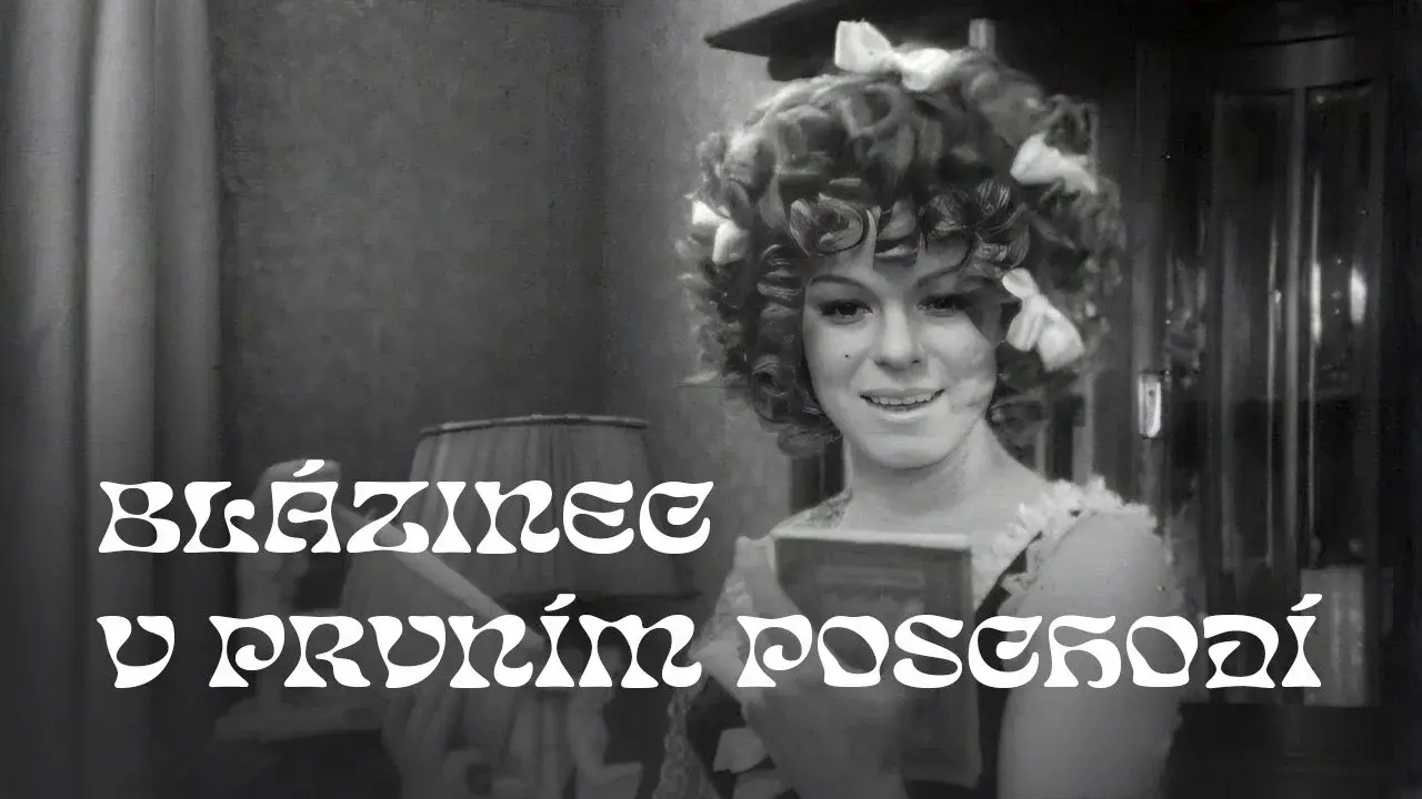 Blázinec v 1. poschodí