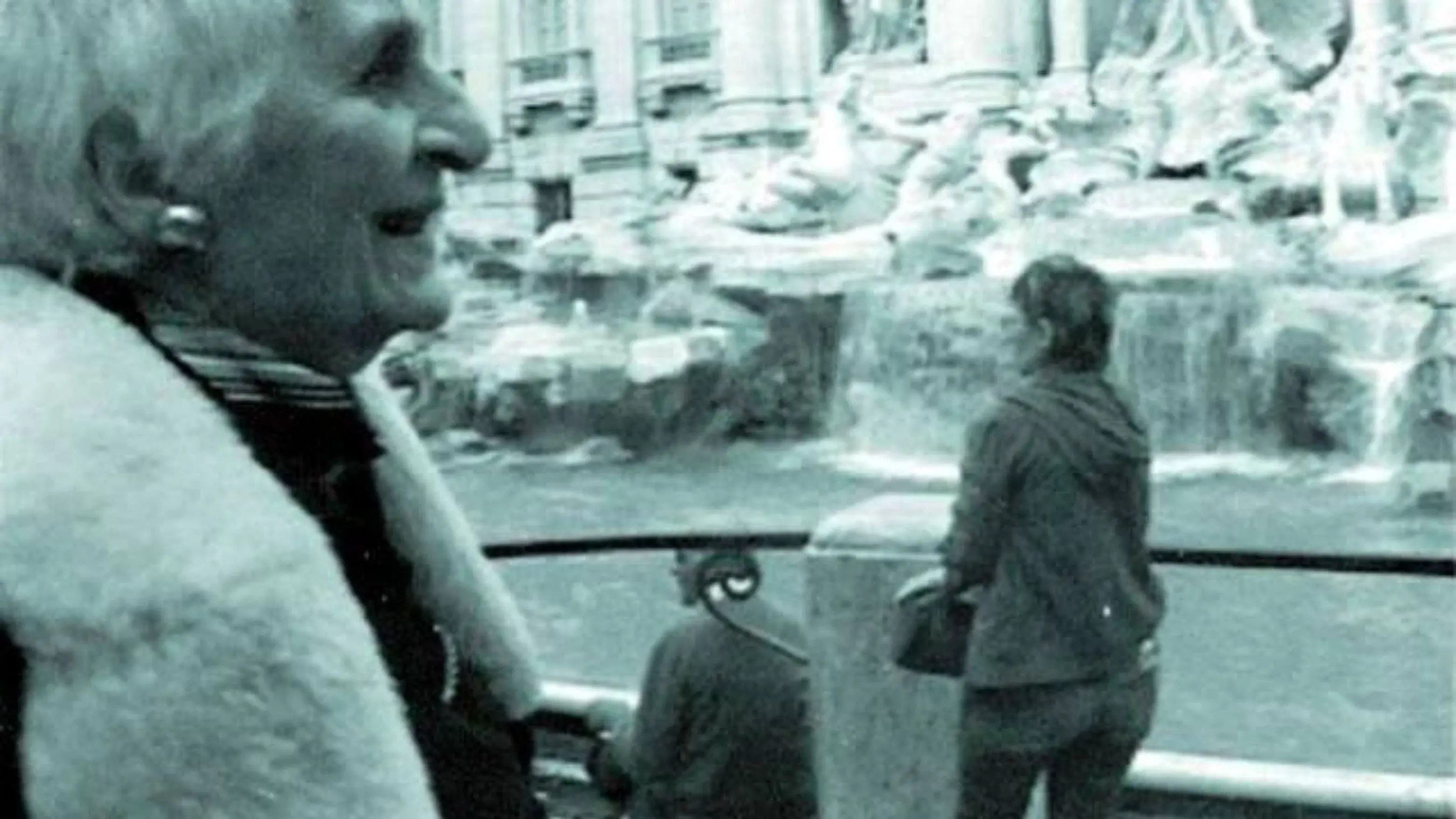 THE INTERPRETER OF BLACK AND WHITE FILMS