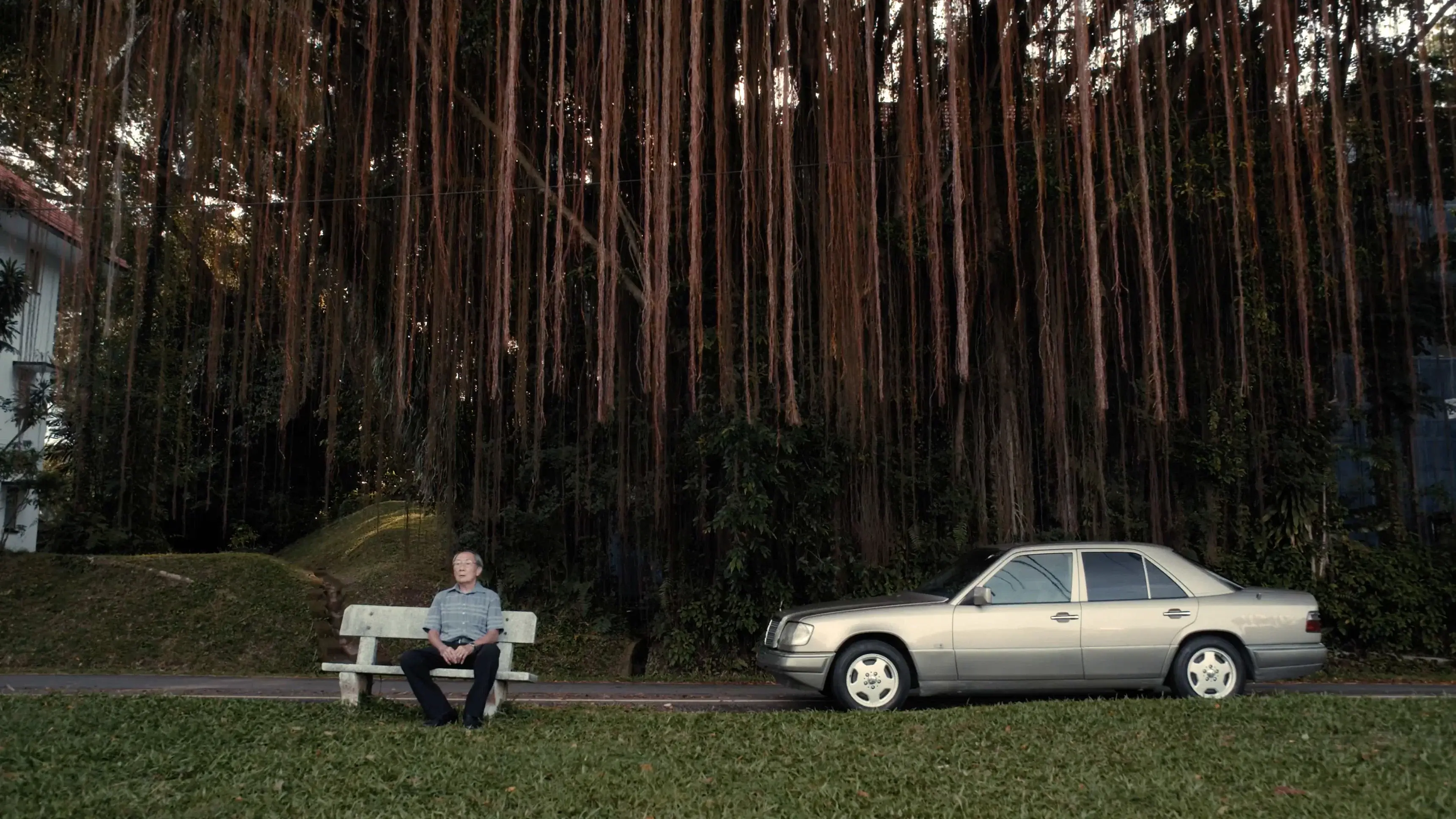 The Old Man and His Car