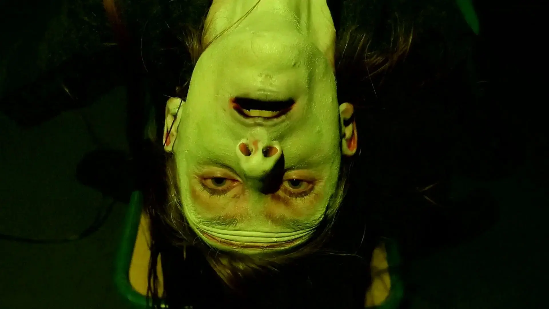 Frankenstein Created Robyn