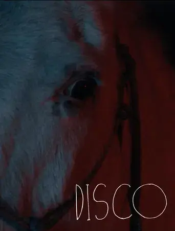 Disco