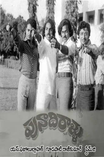 Punadhirallu