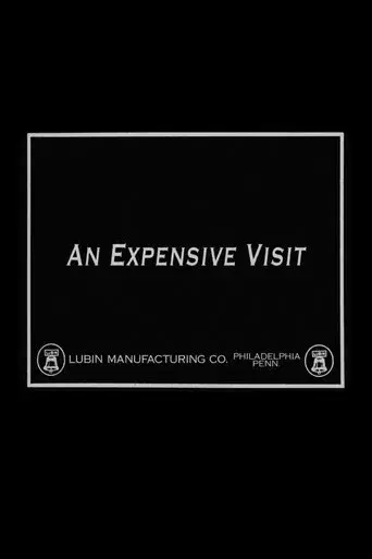 An Expensive Visit