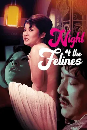 Night of the Felines