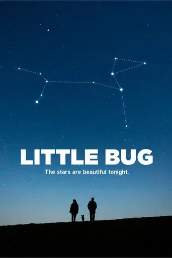 Little Bug
