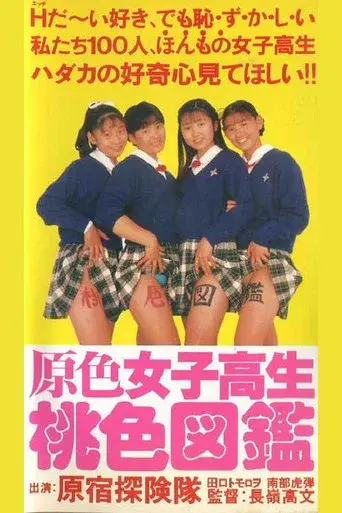 Primary Colour High School Girl Pink Picture Book