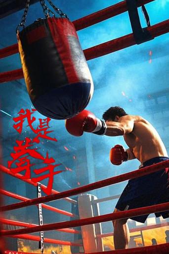 我是拳手