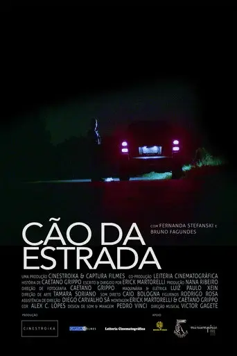 Cão da Estrada