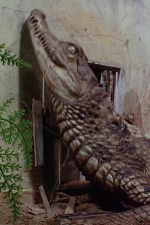 Thunderbirds: Attack of the Alligators!