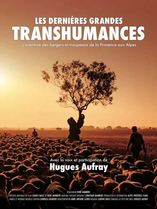 Les dernières grandes transhumances