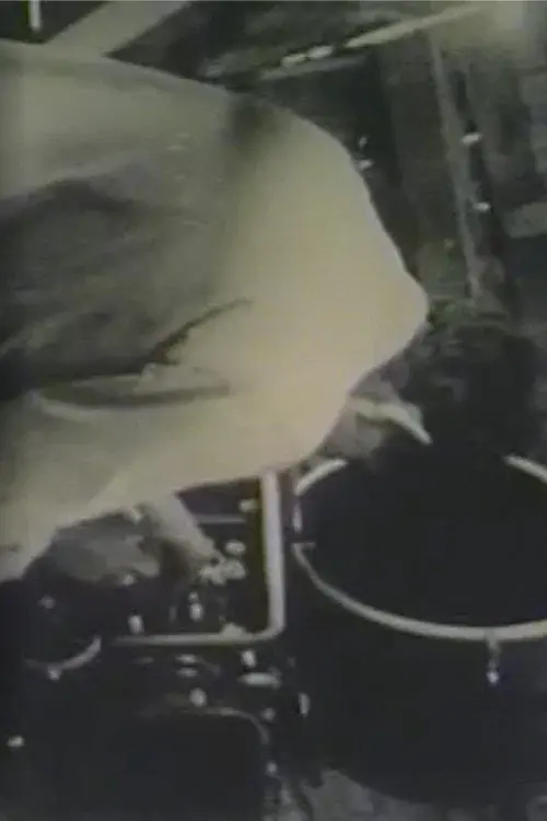 Robert Frank Films