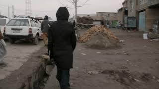 A Dog Called Money (Trailer @ CPH:DOX 2019)