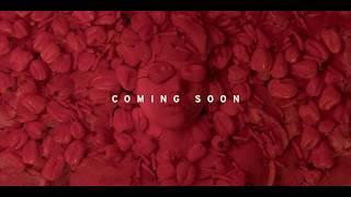TASTE OF LOVE - TRAILER