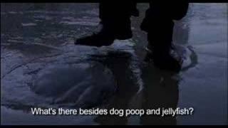 JELLYFISH TRAILER